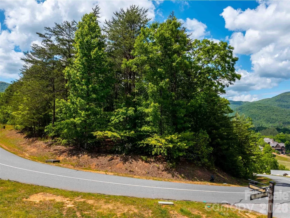Unit for sale at LOT 2012 Deep Gap Farm Road E, Mill Spring, NC 28756