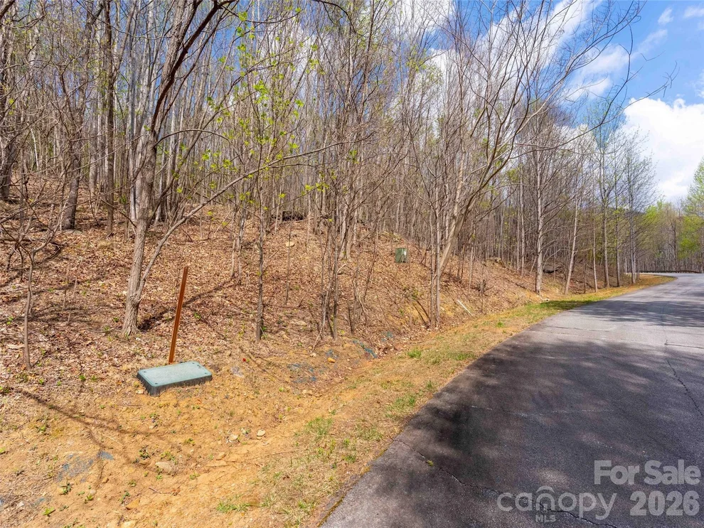 Unit for sale at Lot 196 Cherry Hill, Mill Spring, NC 28756