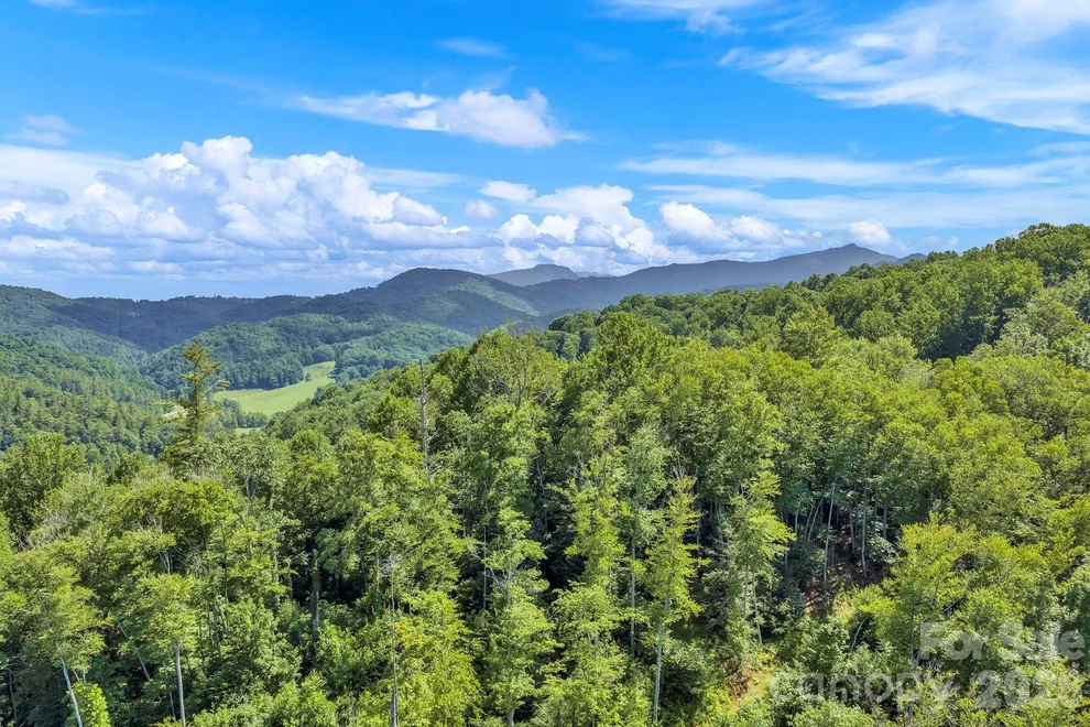 Unit for sale at TBD NC Highway 194 None S, Sugar Grove, NC 28679
