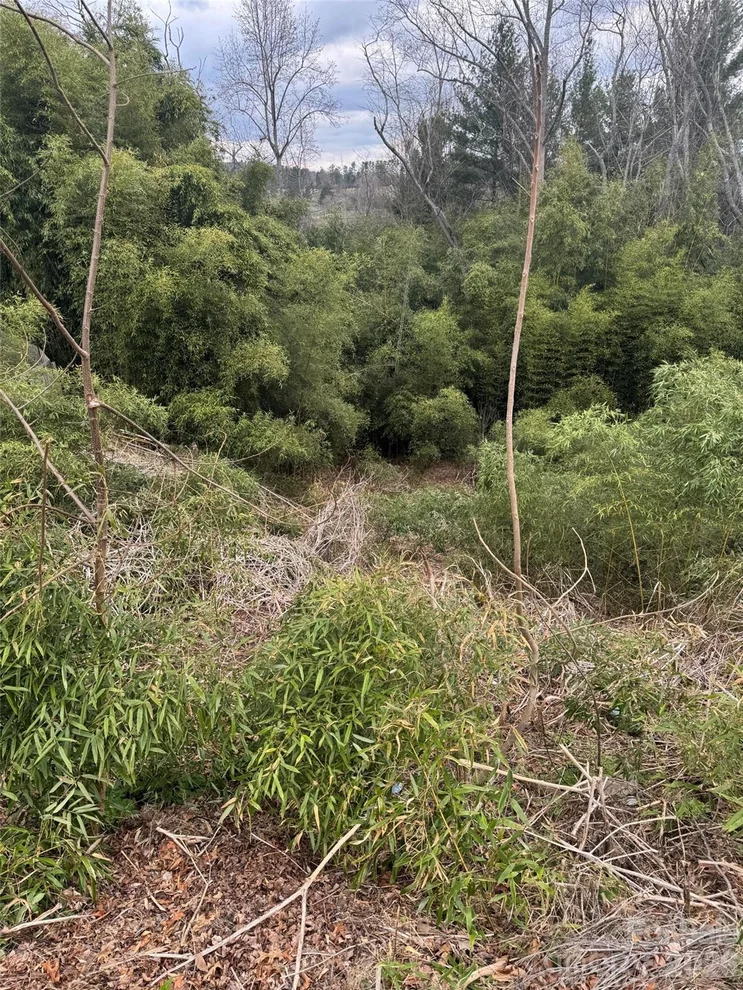 Unit for sale at 34 Belleair Road, Asheville, NC 28806