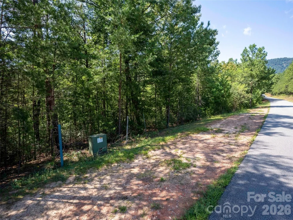 Unit for sale at 0 Deep Gap Farm Road W, Mill Spring, NC 28756