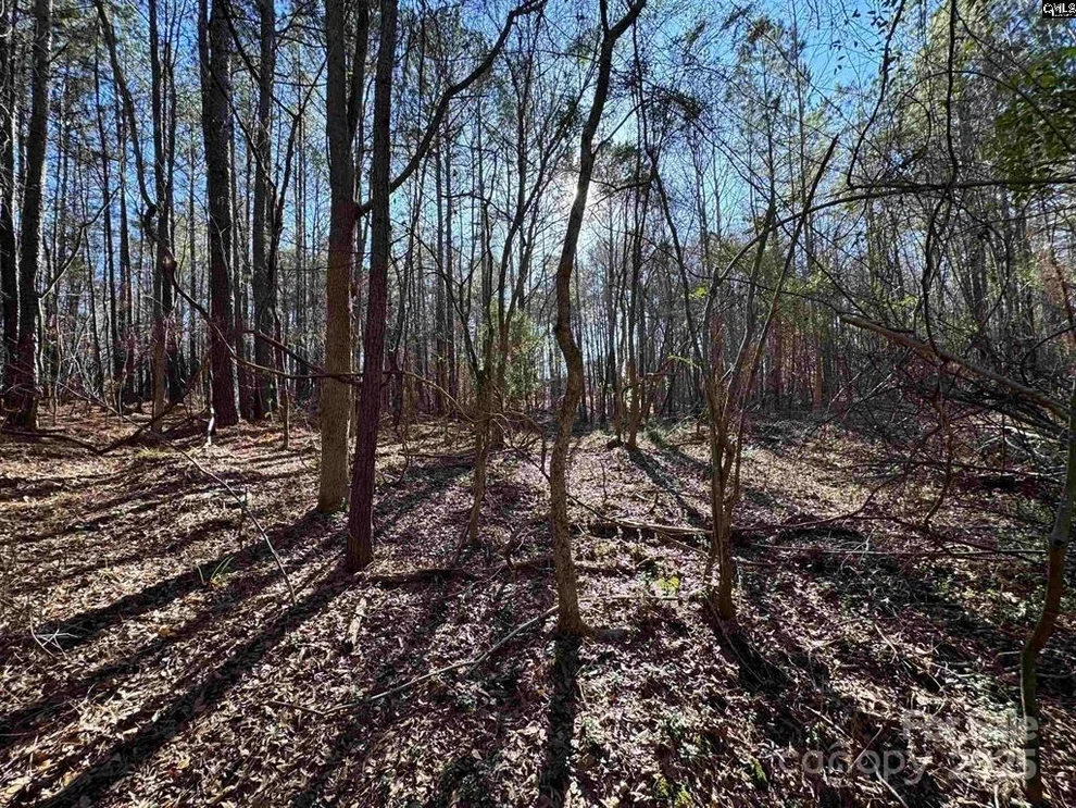 Unit for sale at TBD Theron Circle, Lancaster, SC 29720