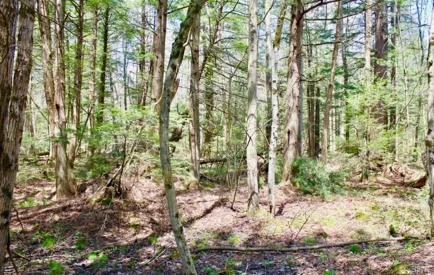 Unit for sale at 0 Hong Kong Road, Albion, NY 13142