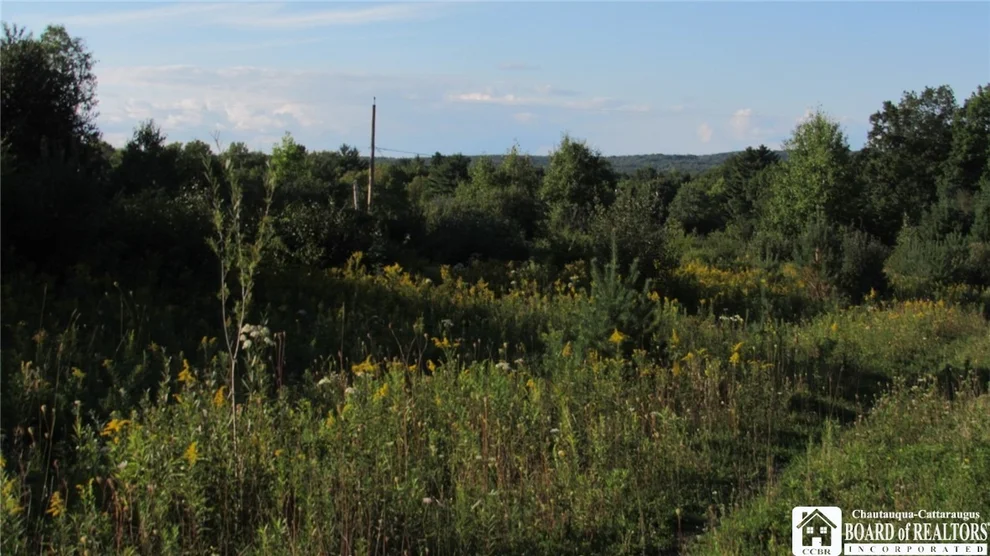 Unit for sale at 0 Bailor Road, Angelica, NY 14709