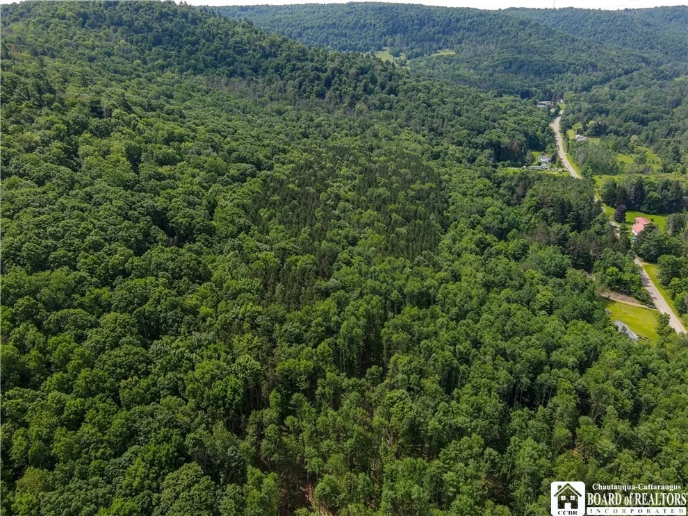 Unit for sale at 738 Four Mile Road, Allegany, NY 14706