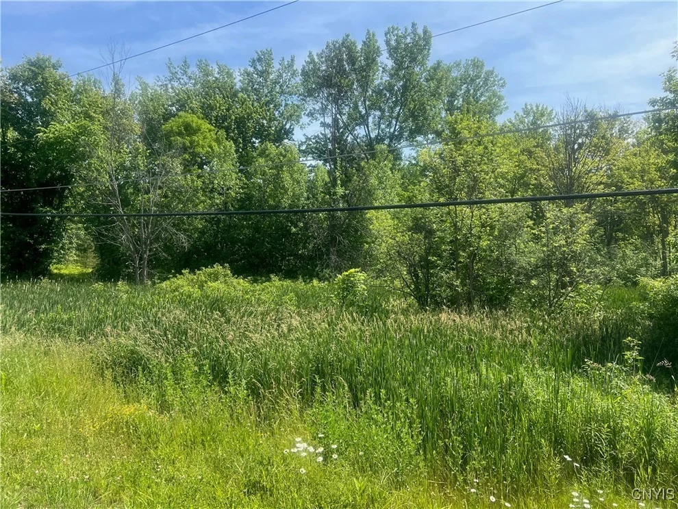 Unit for sale at 0 State Route 34 Highway, Ira, NY 13033