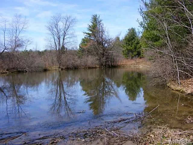 Unit for sale at 4081 E Hill Road E, Friendship, NY 14739