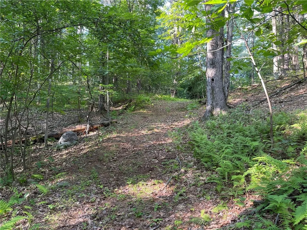 Unit for sale at 000 Canniff Road, Cairo, NY 12413