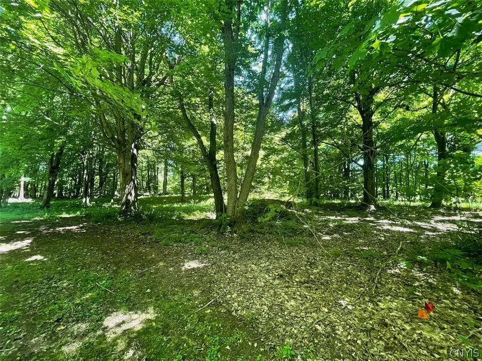 Unit for sale at 10 Banjo Lane, Scriba, NY 13126