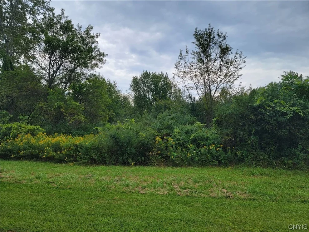Unit for sale at Lot 14 Whistlestop Lane, Elbridge, NY 13060