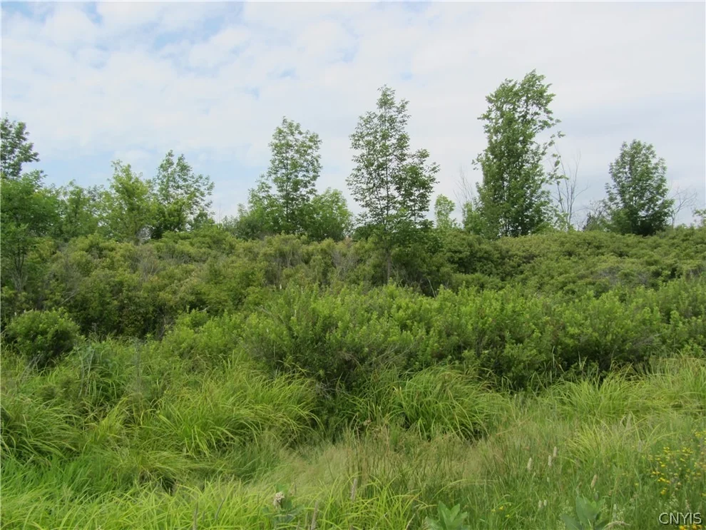 Unit for sale at 0 Dorr Road, Alexandria, NY 13607