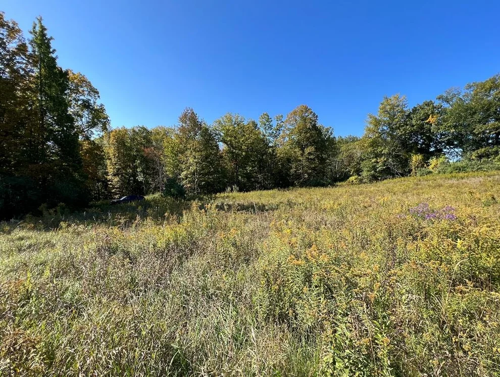 Unit for sale at 0 Hagerman Road, Chemung, NY 14892