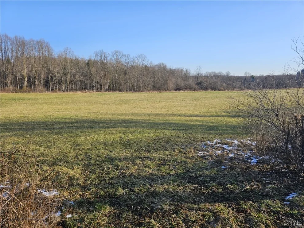 Unit for sale at Lot 7 Ryan Road, Brutus, NY 13166
