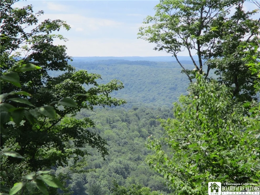 Unit for sale at 0 Alma Hill Rd, Alma, NY 14895