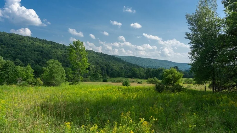 Unit for sale at 0 County Highway 42, Maryland, NY 12116