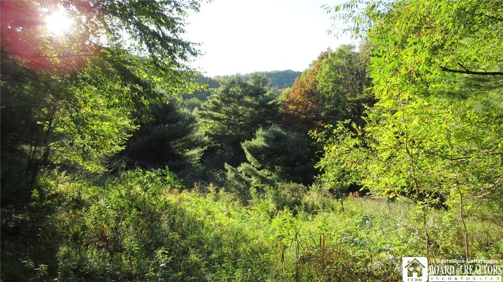 Unit for sale at 0 Kamery Road, Olean, NY 14760