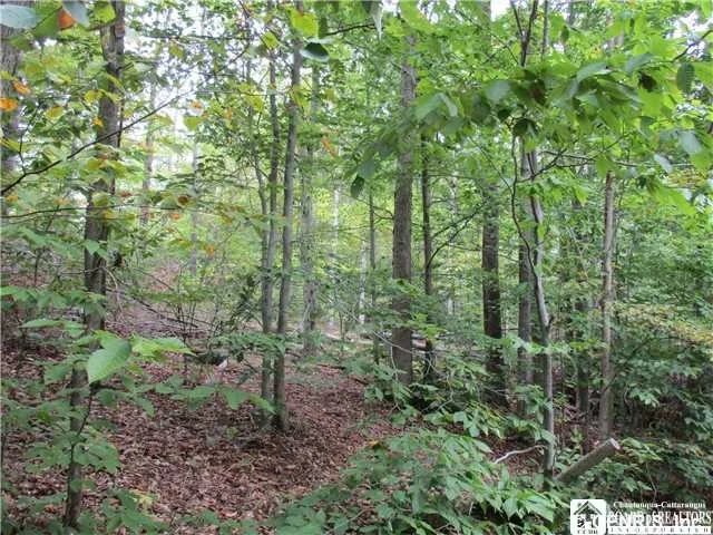 Unit for sale at 0 Gleason Hollow Road, Portville, NY 14770