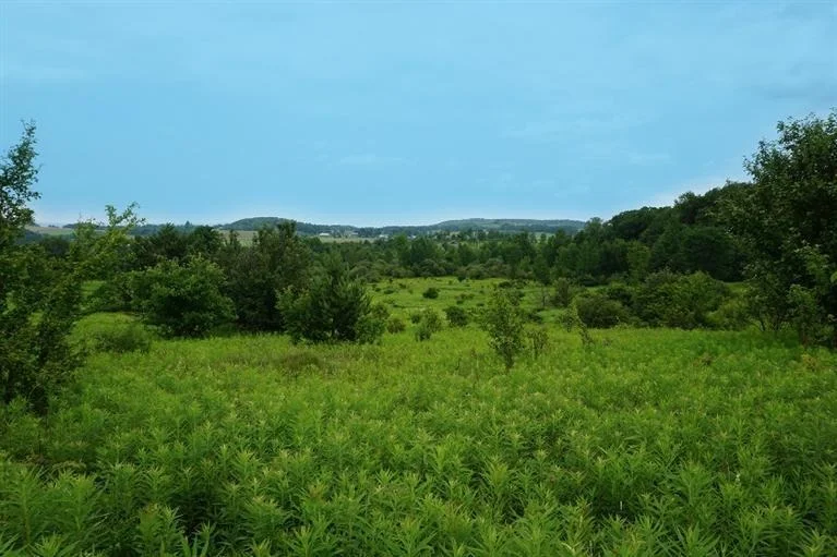 Unit for sale at 0 Talbot Road, Plainfield, NY 13491