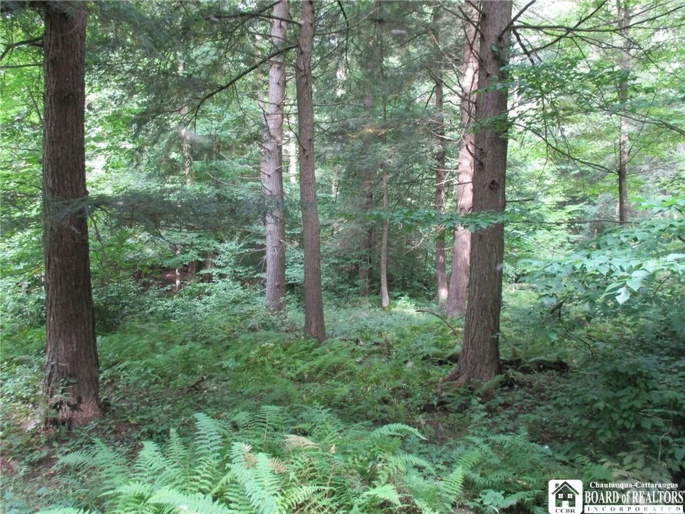 Unit for sale at 0 Swift Road, Angelica, NY 14709