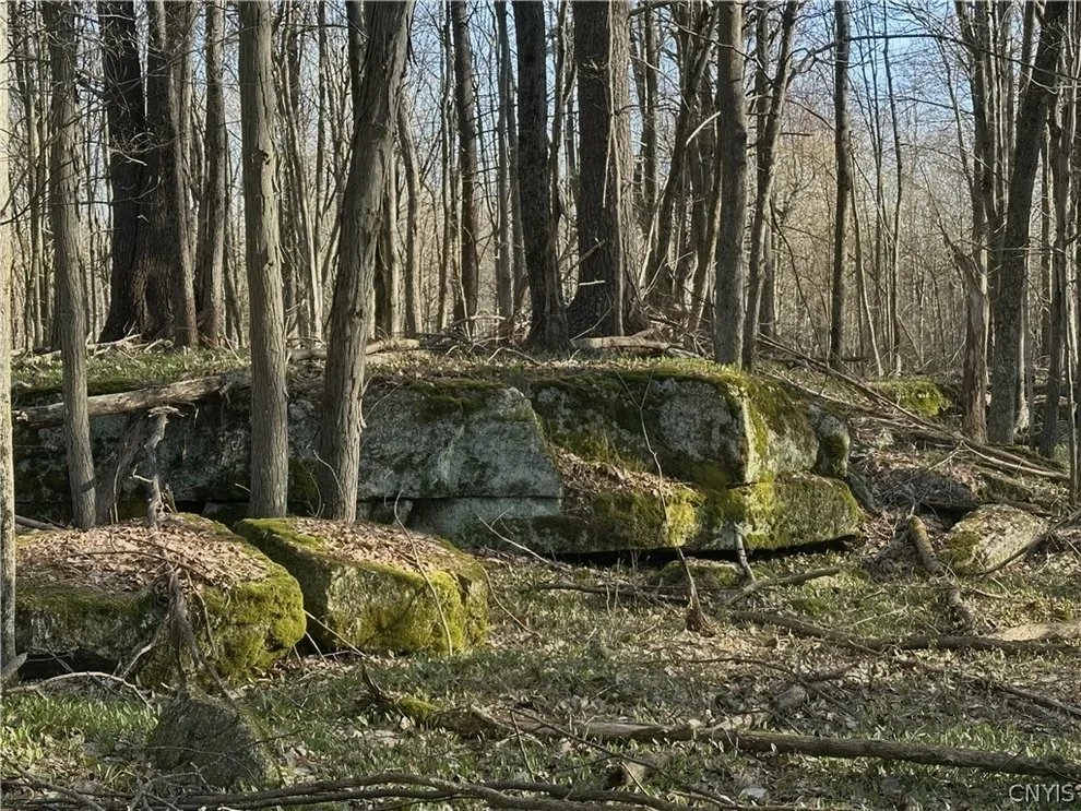 Unit for sale at 0 Lead Mine Rd, Rossie, NY 13679