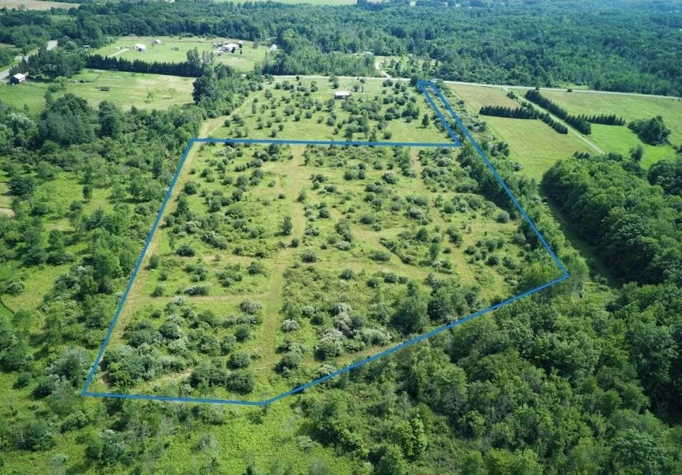 Unit for sale at 0 Ball Diamond Road, Hector, NY 14841