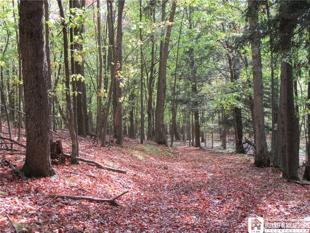 Unit for sale at 0 Route 417 Road, Andover, NY 14806