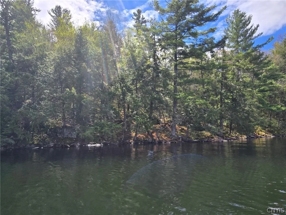Unit for sale at 0 Sweet Point Rd, Alexandria, NY 13607