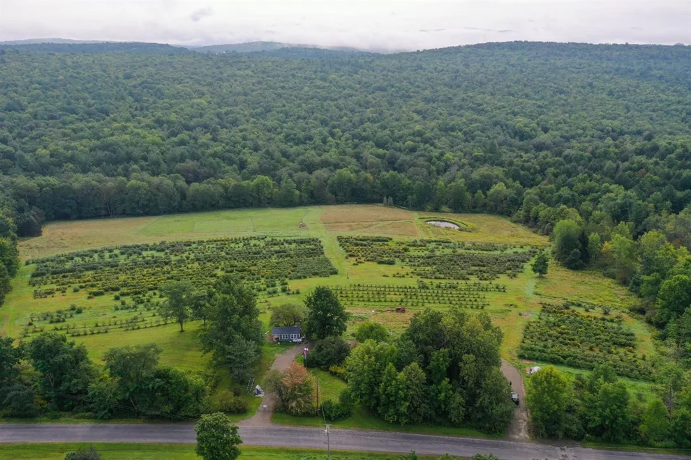 Unit for sale at 362 Stone Hill Road, Afton, NY 13730