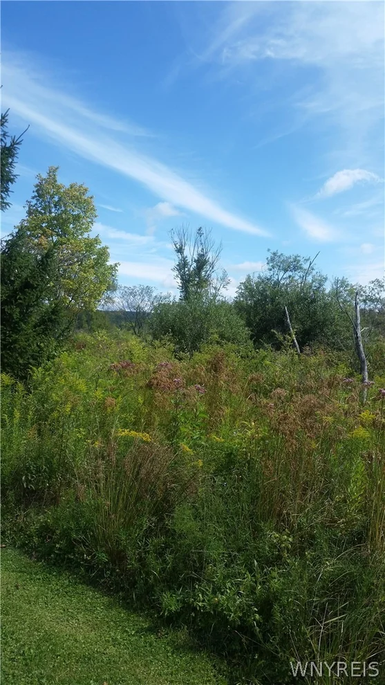 Unit for sale at 0 Swamp Road, East Otto, NY 14729