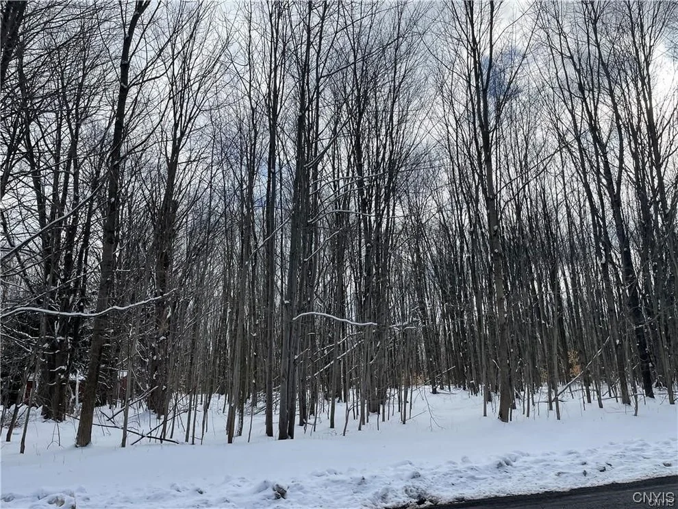 Unit for sale at 00 Cemetery Road, Hannibal, NY 13074