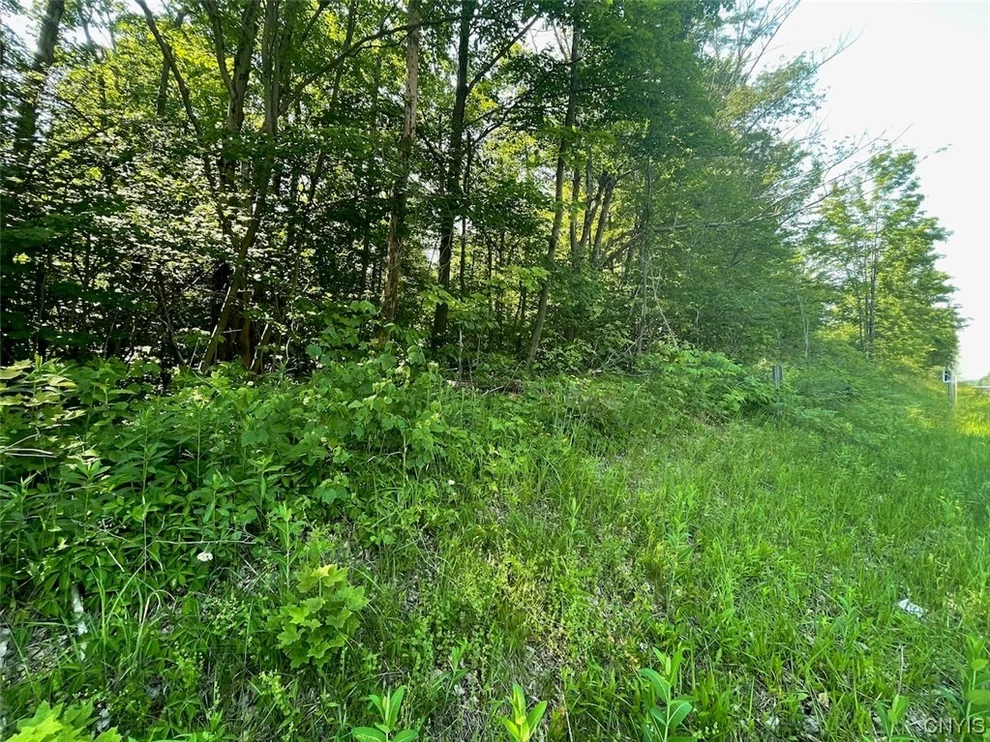 Unit for sale at 0 US Rt 11, Hastings, NY 13076