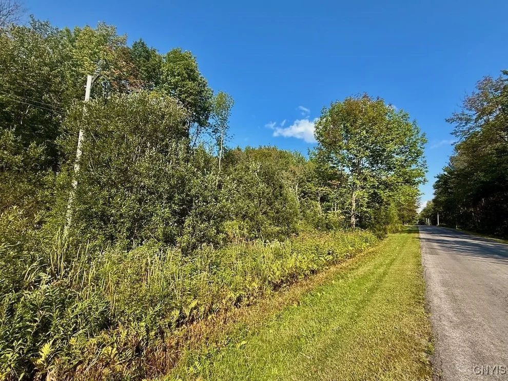 Unit for sale at 355 New Scriba Drive, Orwell, NY 13144