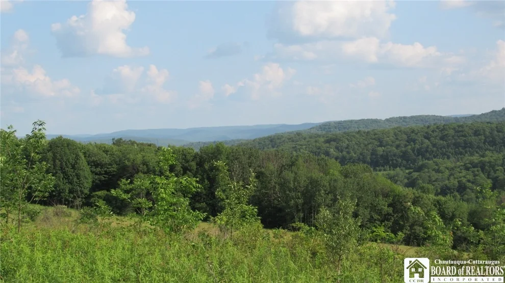 Unit for sale at 0 Morgan Hollow Road, Hinsdale, NY 14743