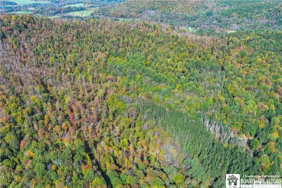 Unit for sale at 0 Willow Brook Road, Genesee, NY 14754