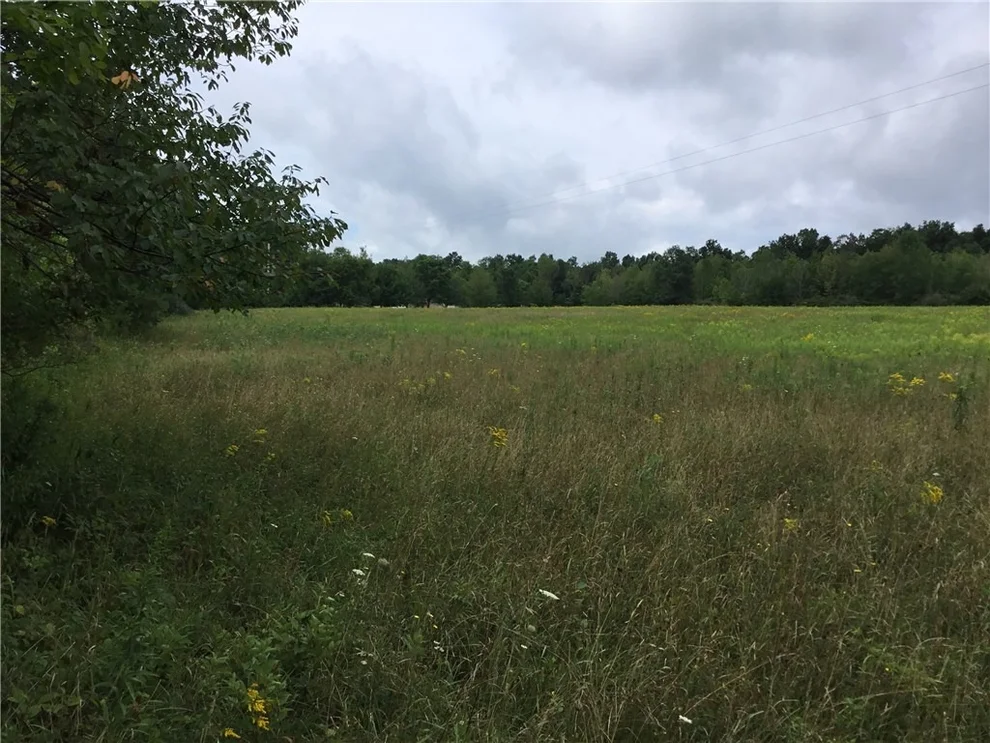 Unit for sale at 0 Tom Campbell Road, Jerusalem, NY 14418