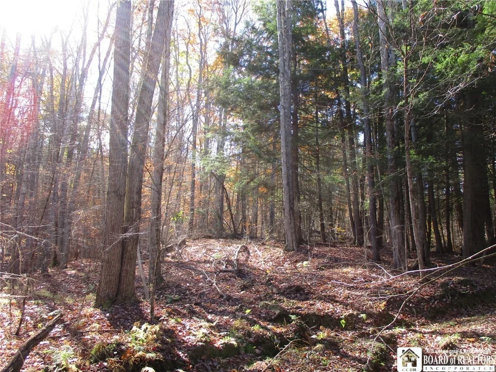 Unit for sale at Gordon Brook, Scio, NY 14880