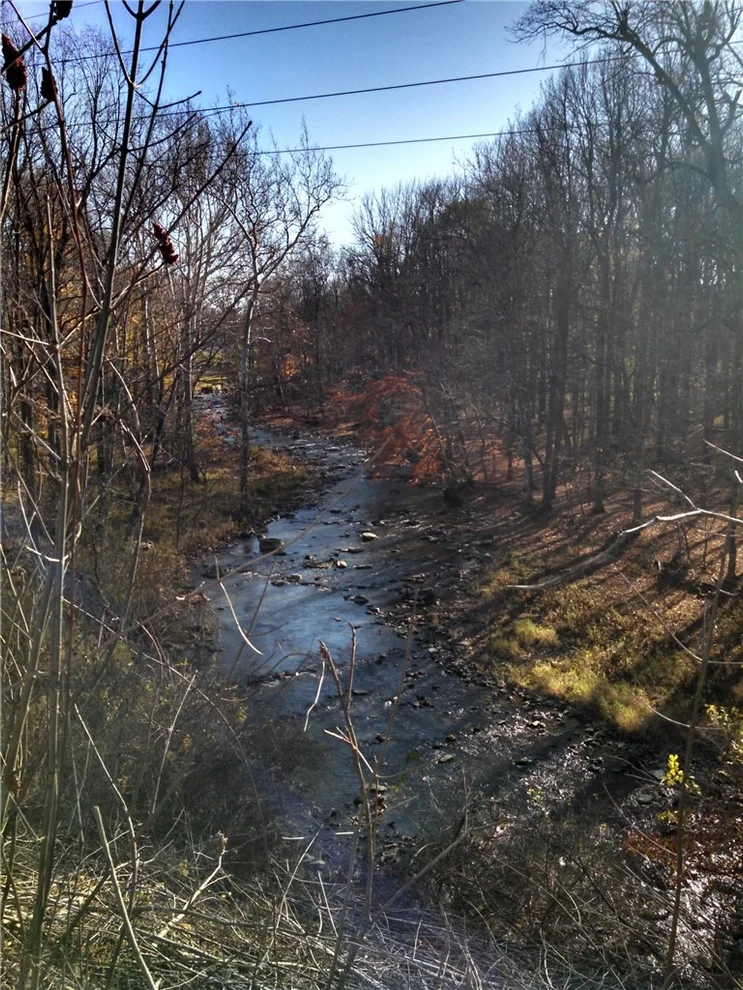 Unit for sale at 6240 Pheasants Crossing, Farmington, NY 14425