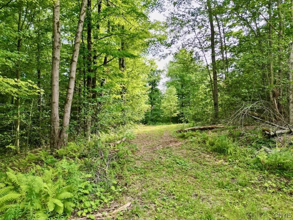 Unit for sale at 0 Hillsborough Road, Amboy, NY 13316
