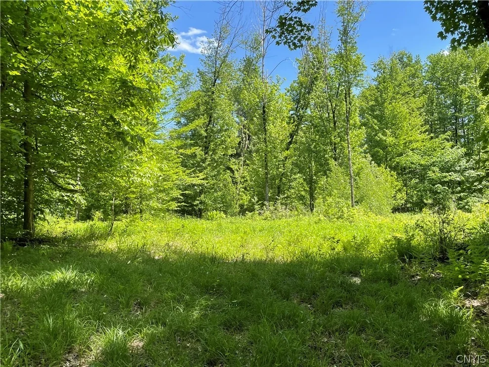 Unit for sale at 415 N Hillsboro Road, Camden, NY 13316