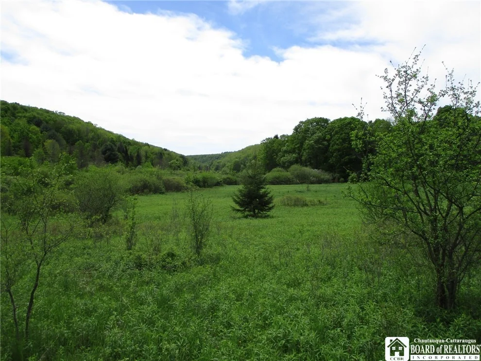 Unit for sale at Yankee Road, Ischua, NY 14743