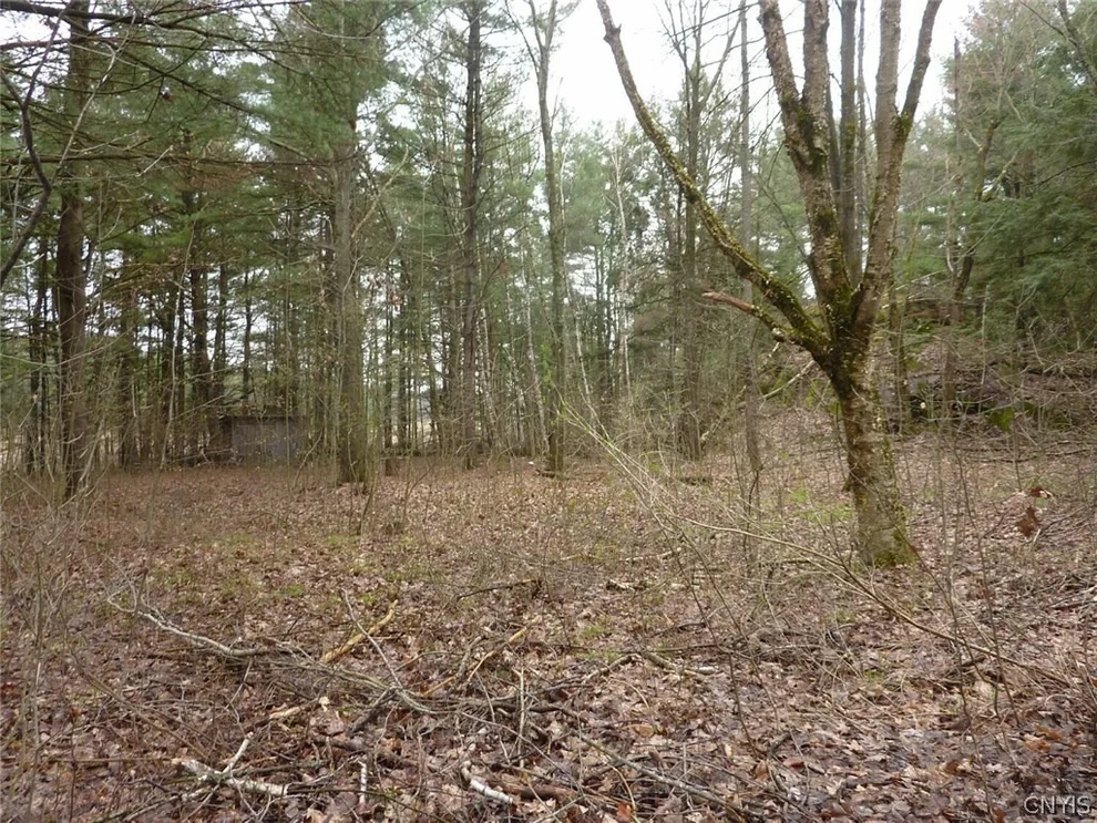 Unit for sale at - Chippewa Creek Rd/Prvt Road, Hammond, NY 13646