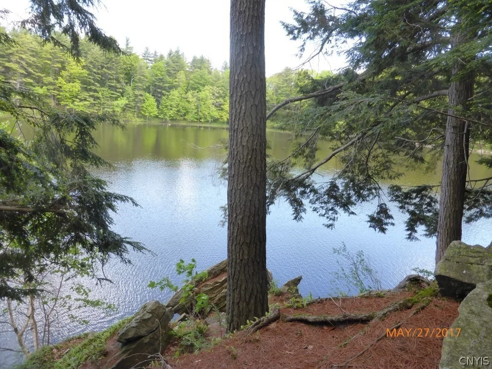 Unit for sale at 0 Trickey Road, Theresa, NY 13691