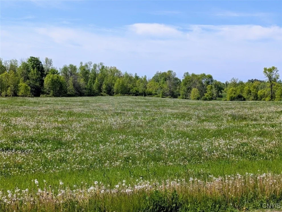 Unit for sale at Rosiere Road, Cape Vincent, NY 13618