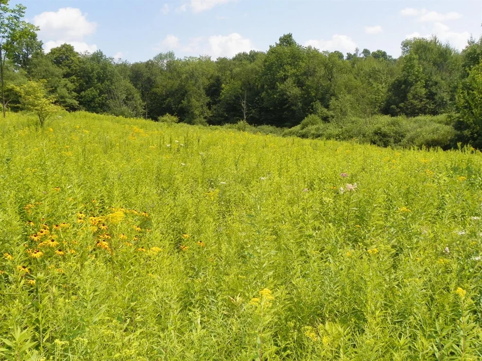 Unit for sale at 0 County Highway 23, Sidney, NY 13838