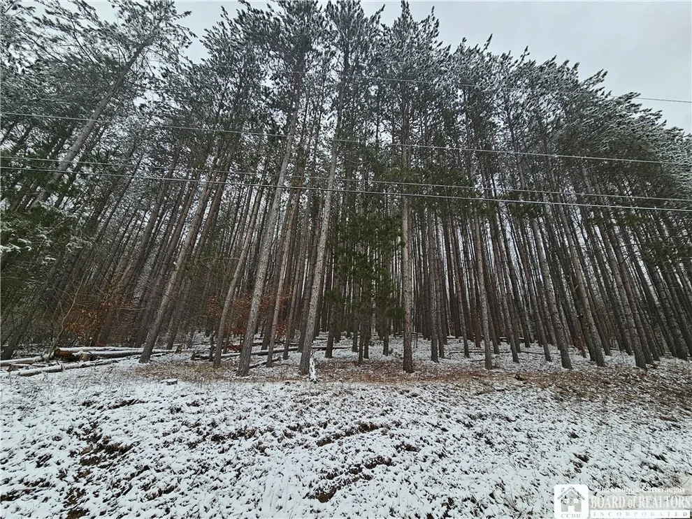 Unit for sale at Butternut Brook Road, Genesee, NY 14770