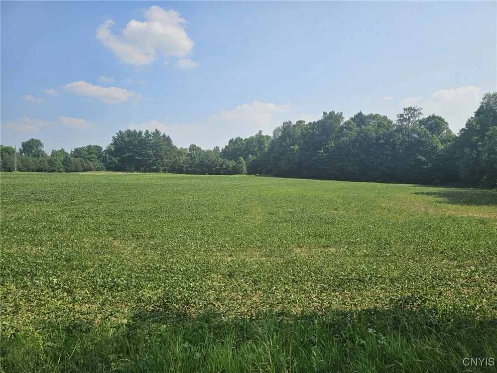 Unit for sale at Clinton Road, Brutus, NY 13166