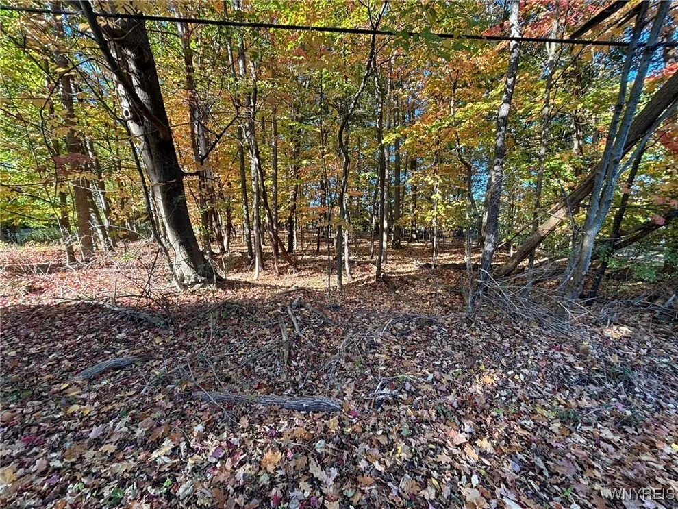 Unit for sale at 0 Stainton Drive, Hamburg, NY 14075