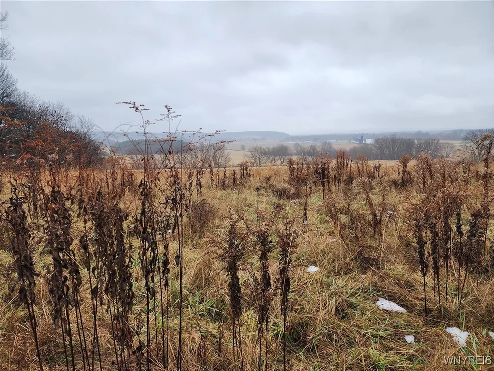 Unit for sale at Ball Hill Road, Villenova, NY 14062