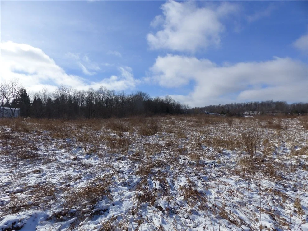 Unit for sale at 00 Co Road 37 Lot 2, Canadice, NY 14560
