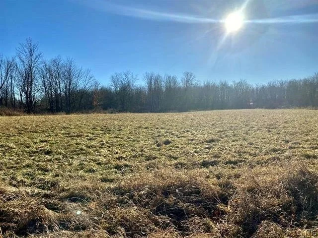 Unit for sale at 0 Beaman Road, Gouverneur, NY 13642